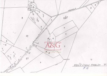Foto 35 - Villa CONTRADA VALLEMARINA, Monte Vidon Corrado - photo 35