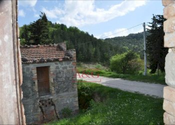 Foto 11 - Rustic FRAZIONE OSOLI, Roccafluvione - photo 11