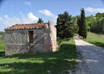 Foto 17 - Rustic FRAZIONE OSOLI, Roccafluvione - photo 17