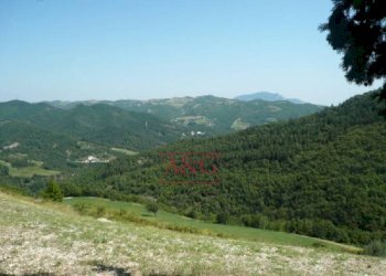 Foto 19 - Rustic FRAZIONE OSOLI, Roccafluvione - photo 19