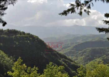 Foto 20 - Rustic FRAZIONE OSOLI, Roccafluvione - photo 20