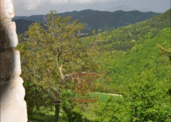 Foto 23 - Rustic FRAZIONE OSOLI, Roccafluvione - photo 23