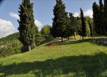 Foto 24 - Rustic FRAZIONE OSOLI, Roccafluvione - photo 24