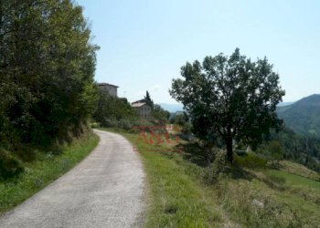 Foto 25 - Rustic FRAZIONE OSOLI, Roccafluvione - photo 25