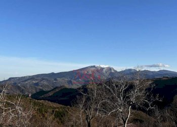 Foto 17 - Rustic osoli, Roccafluvione - photo 17