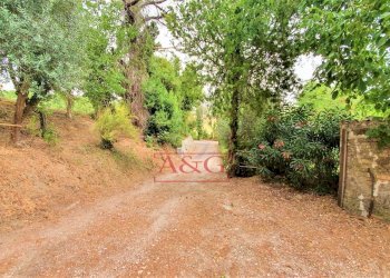 Foto 7 - Rustico belmonte piceno
 
11, Belmonte Piceno - foto 7