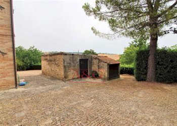 Foto 10 - Rustico belmonte piceno
 
11, Belmonte Piceno - foto 10