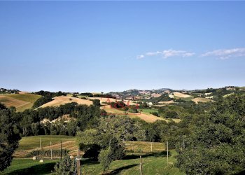 Foto 32 - Rustico belmonte piceno
 
11, Belmonte Piceno - foto 32