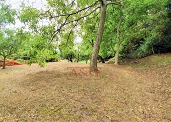 Foto 34 - Rustico belmonte piceno
 
11, Belmonte Piceno - foto 34