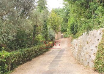 Foto 38 - Rustico belmonte piceno
 
11, Belmonte Piceno - foto 38