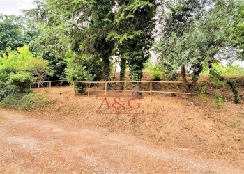 Foto 41 - Rustico belmonte piceno
 
11, Belmonte Piceno - foto 41