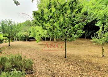 Foto 45 - Rustico belmonte piceno
 
11, Belmonte Piceno - foto 45