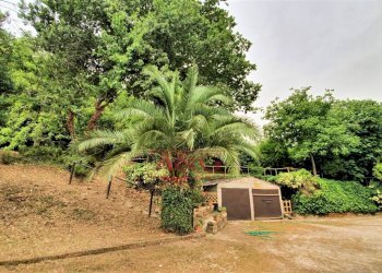 Foto 49 - Rustico belmonte piceno
 
11, Belmonte Piceno - foto 49