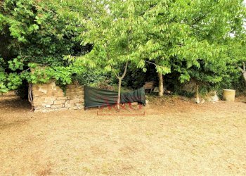 Foto 50 - Rustico belmonte piceno
 
11, Belmonte Piceno - foto 50