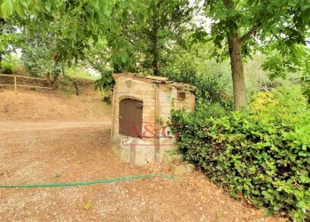 Foto 52 - Rustico belmonte piceno
 
11, Belmonte Piceno - foto 52