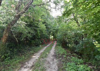 Foto 45 - Casa indipendente villa garulla inferiore, Amandola - foto 45