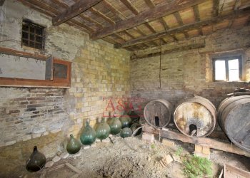 Foto 7 - Rustico c.da mossa
 
28, Mogliano - foto 7