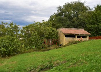 Foto 11 - Rustico c.da mossa
 
28, Mogliano - foto 11