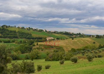 Foto 13 - Rustico c.da mossa
 
28, Mogliano - foto 13