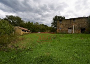 Foto 14 - Rustico c.da mossa
 
28, Mogliano - foto 14