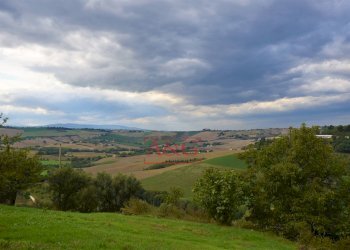 Foto 18 - Rustico c.da mossa
 
28, Mogliano - foto 18