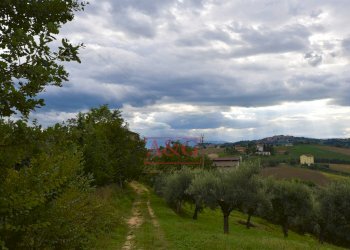 Foto 26 - Rustico c.da mossa
 
28, Mogliano - foto 26