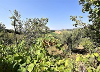 Foto 56 - Villa contrada fegatara, Montegiorgio - foto 56