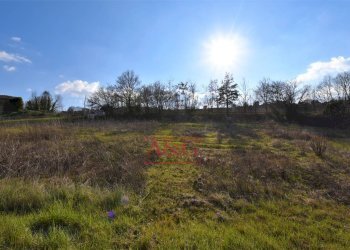 Foto 9 - Rustico contrada Paradette
 
snc, Rapagnano - foto 9