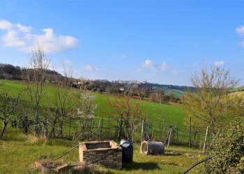 Foto 10 - Rustico contrada Paradette
 
snc, Rapagnano - foto 10