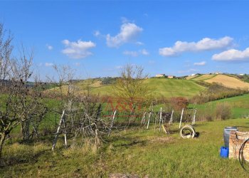 Foto 12 - Rustico contrada Paradette
 
snc, Rapagnano - foto 12