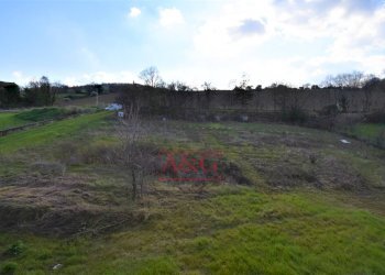 Foto 26 - Rustico contrada Paradette
 
snc, Rapagnano - foto 26