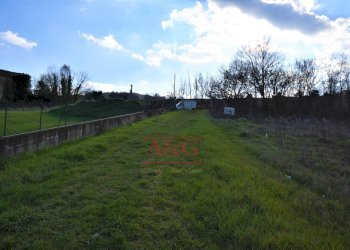 Foto 31 - Rustico contrada Paradette
 
snc, Rapagnano - foto 31