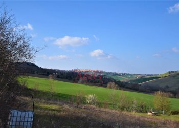 Foto 32 - Rustico contrada Paradette
 
snc, Rapagnano - foto 32