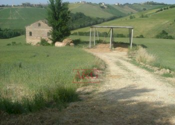 Foto 39 - Rustico contrada Paradette
 
snc, Rapagnano - foto 39