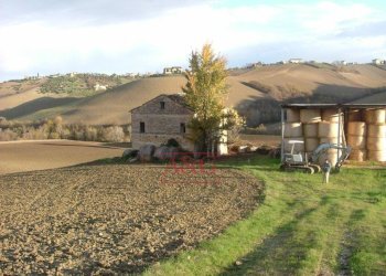 Foto 40 - Rustico contrada Paradette
 
snc, Rapagnano - foto 40