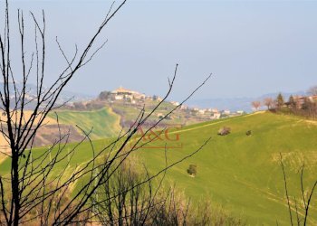 Foto 29 - Casa indipendente Contrada Le Grazie
 
1, Montelparo - foto 29