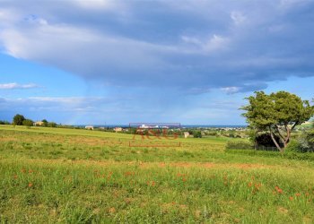 Foto 10 - Rustico Strada Piannenza, Sant'Elpidio a Mare - foto 10