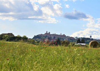 Foto 13 - Rustico Strada Piannenza, Sant'Elpidio a Mare - foto 13