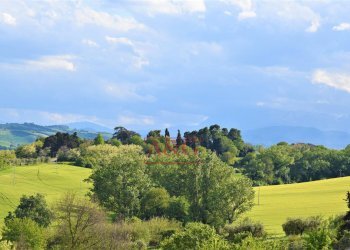 Foto 15 - Rustico Strada Piannenza, Sant'Elpidio a Mare - foto 15