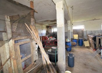 Foto 35 - Rustico Strada Piannenza, Sant'Elpidio a Mare - foto 35