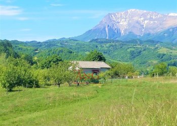 Foto 26 - Independent house Contrada Colle Chiaro, Comunanza - photo 26