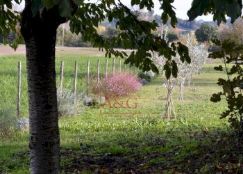 Foto 52 - Villa Via Tenna
4, Magliano di Tenna - foto 52