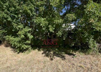 Foto 25 - Rustico contrada s. biagio, Montefalcone Appennino - foto 25