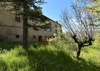 Foto 32 - Rustic Via Strada
 
58, Gualdo - photo 32