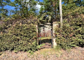 Foto 40 - Rustic Via Strada
 
58, Gualdo - photo 40