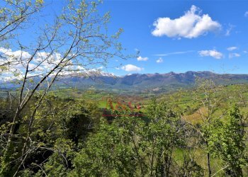 Foto 42 - Rustic Via Strada
 
58, Gualdo - photo 42