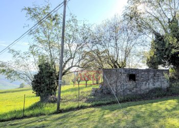 Foto 26 - Casa indipendente Contrada San Venanzo
 
8, Monte San Martino - foto 26