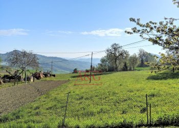 Foto 27 - Casa indipendente Contrada San Venanzo
 
8, Monte San Martino - foto 27