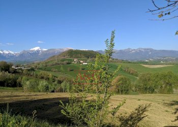 Foto 29 - Casa indipendente Contrada San Venanzo
 
8, Monte San Martino - foto 29