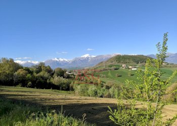 Foto 31 - Casa indipendente Contrada San Venanzo
 
8, Monte San Martino - foto 31